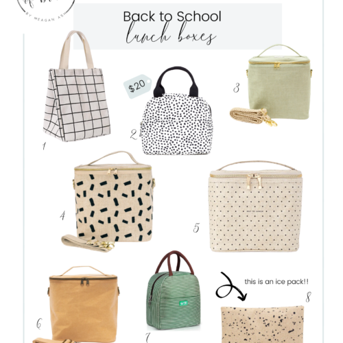 Back to School Lunch Boxes - A Dash of Bruck