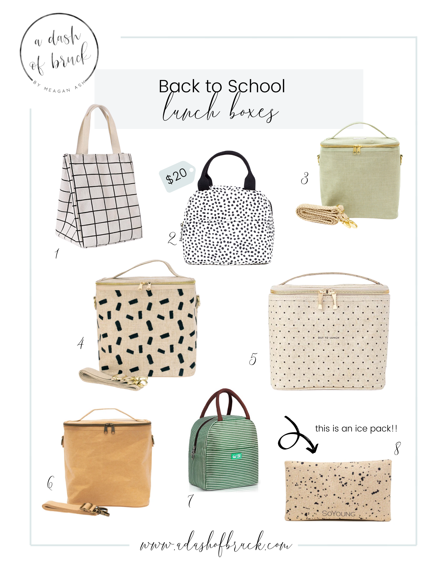 Back to School Lunch Boxes - A Dash of Bruck
